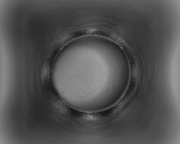 X0000086090565200703301153