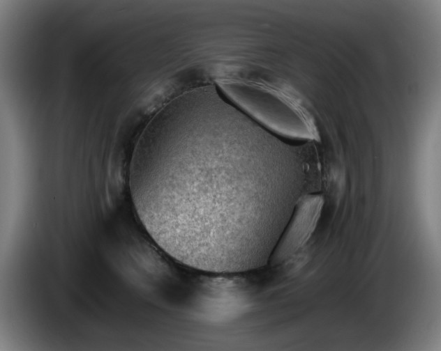 X0000086090566200703301153