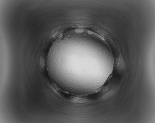 X0000086090568200703301153