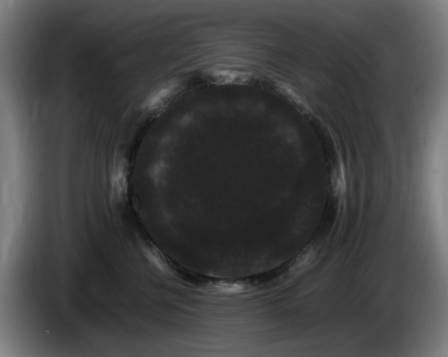 X0000086090570200703301153