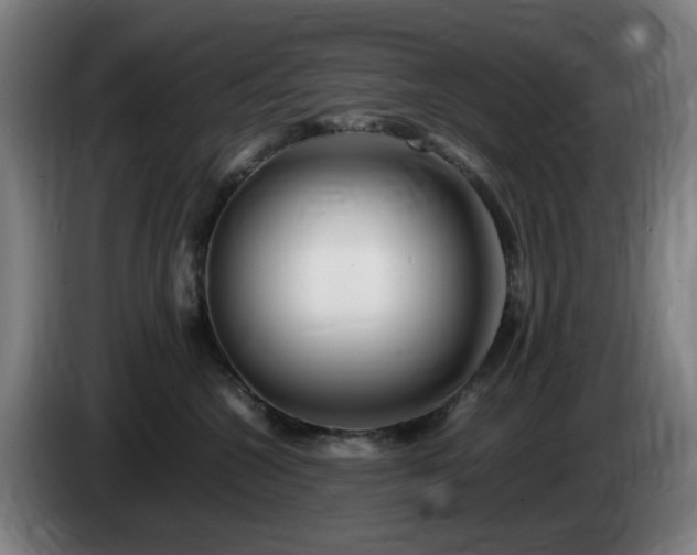 X0000086090572200703301153