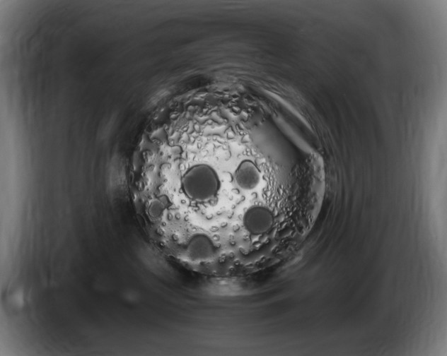 X0000086090573200703301153