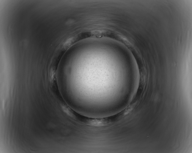 X0000086090574200703301153