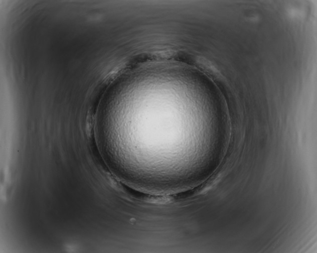 X0000086090576200703301153