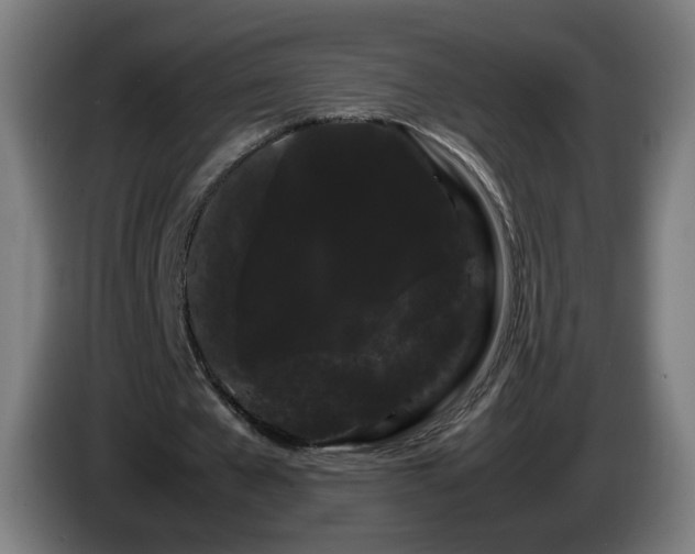 X0000086090577200703301153