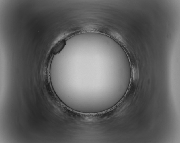 X0000086090579200703301153