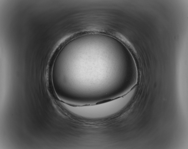 X0000086090580200703301153