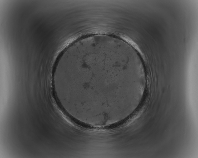 X0000086090581200703301153