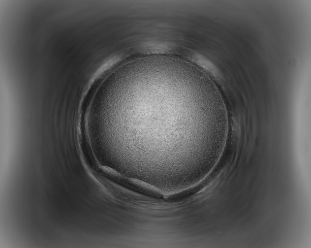 X0000086090582200703301153