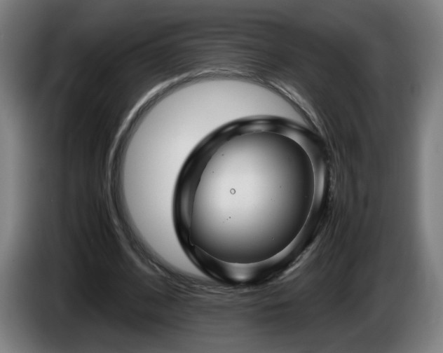 X0000086090584200703301153