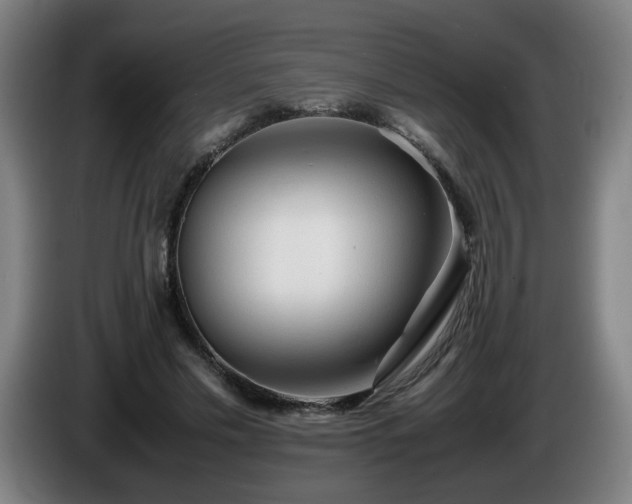 X0000086090589200703301153