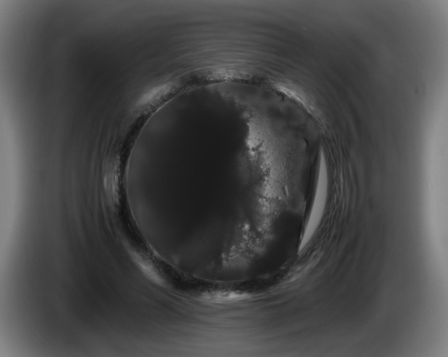 X0000086090590200703301153