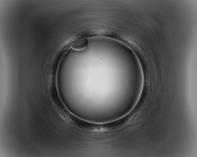 X0000086090591200703301153