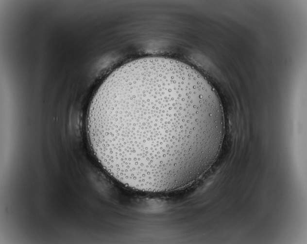 X0000086090592200703301153