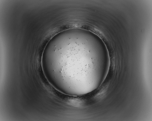 X0000086090594200703301152