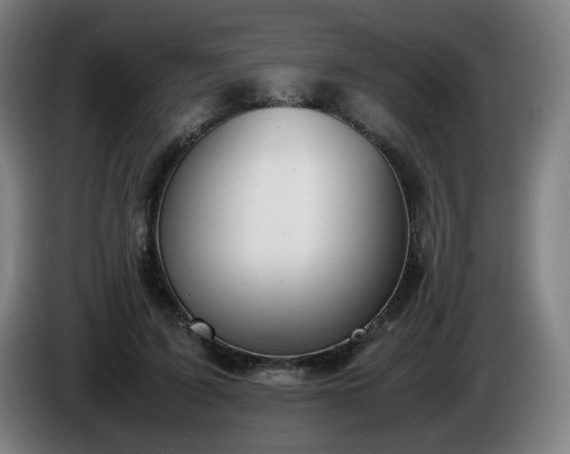 X0000086090595200703301152