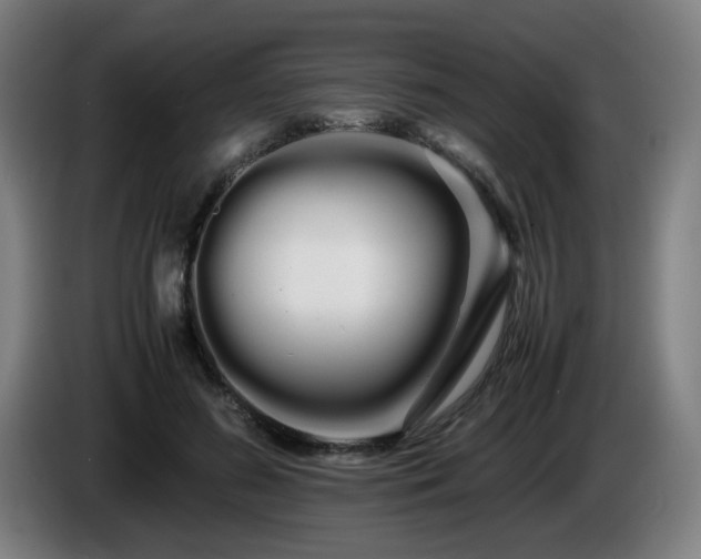 X0000086090596200703301152