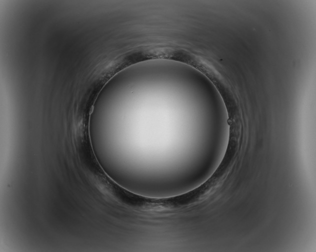 X0000086090597200703301152