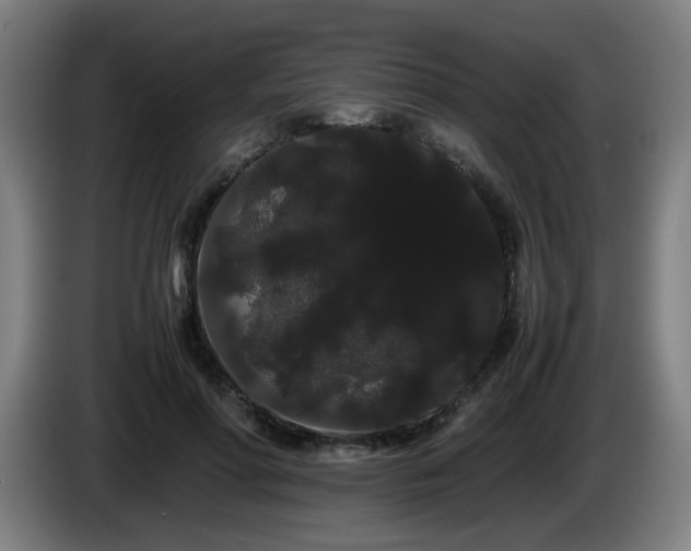 X0000086090598200703301152