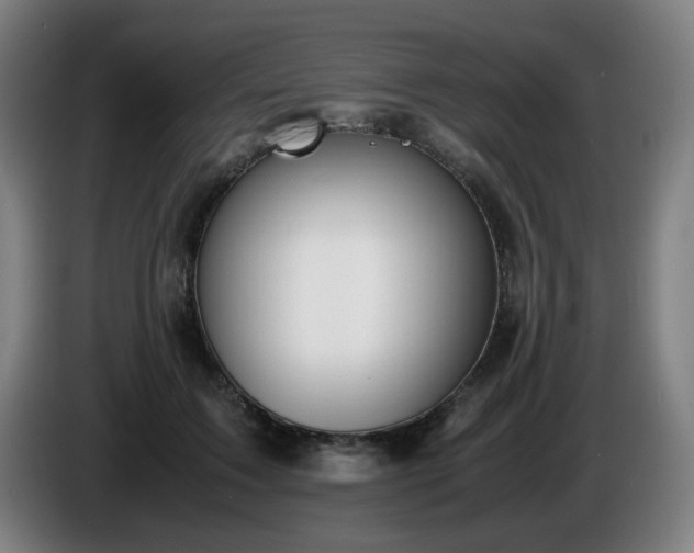 X0000086090603200703301152