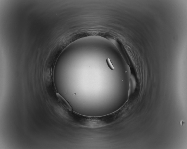 X0000086090605200703301152