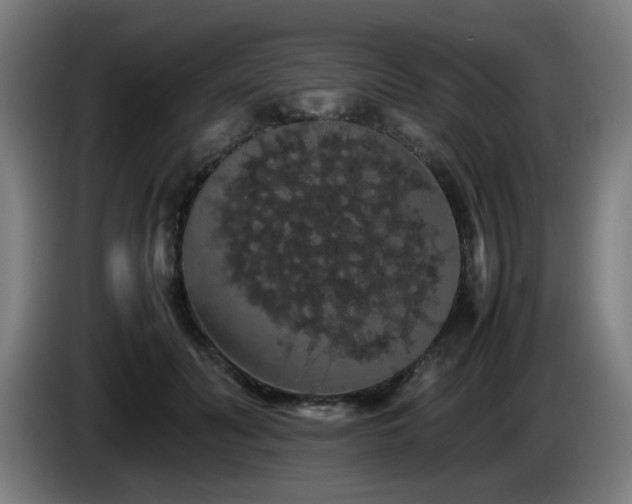 X0000086090606200703301152