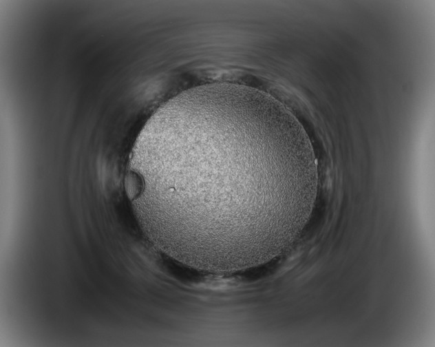 X0000086090607200703301152