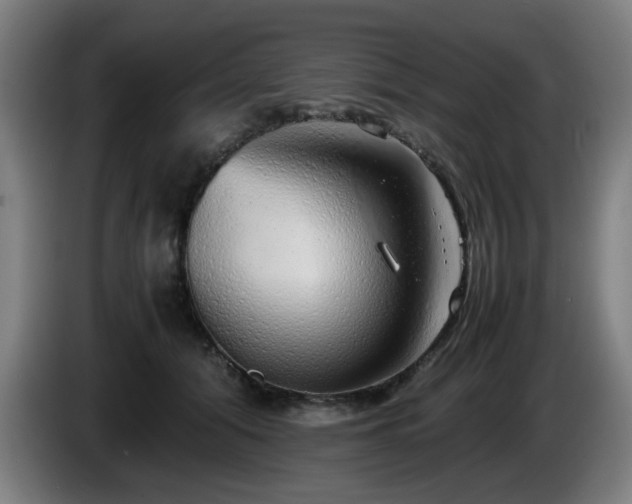 X0000086090608200703301152