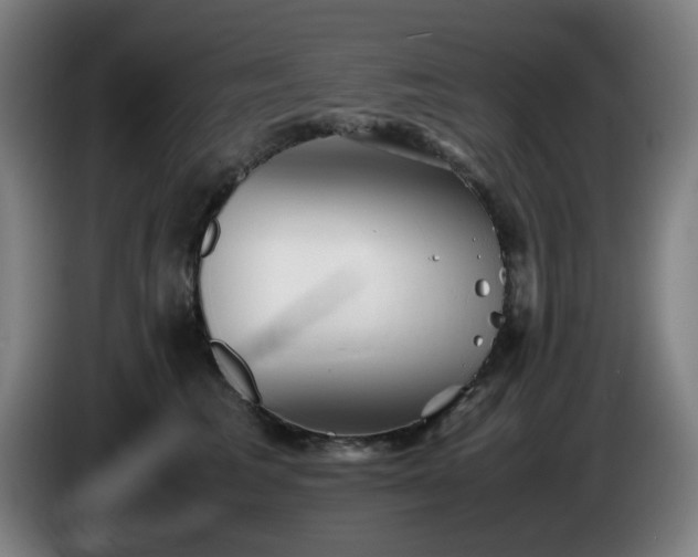 X0000086090613200703301152