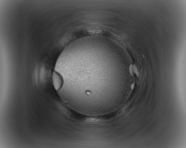 X0000086090614200703301152