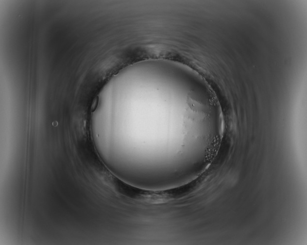 X0000086090615200703301152