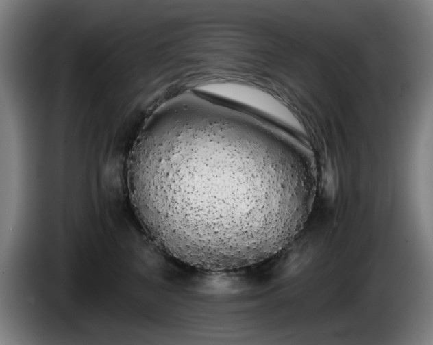 X0000086090616200703301152