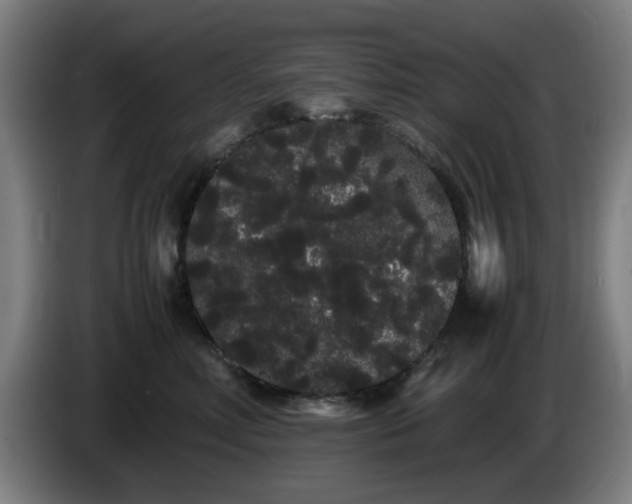 X0000086090618200703301152