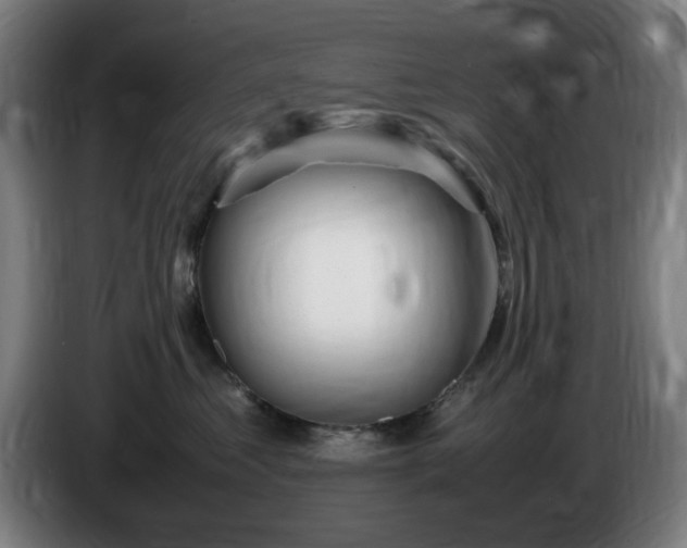 X0000086090621200703301152