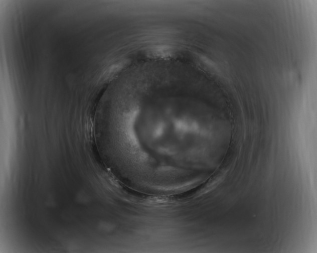 X0000086090624200703301152