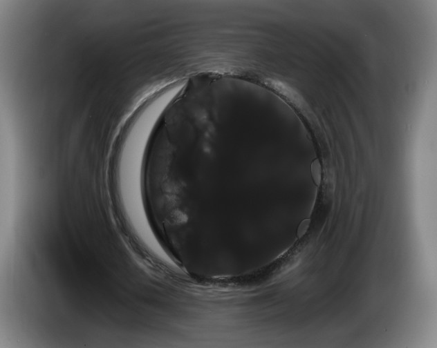 X0000086090626200703301151