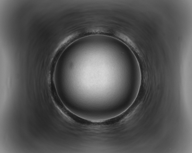 X0000086090629200703301151