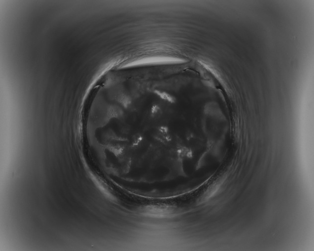 X0000086090630200703301151