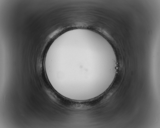 X0000086090632200703301151