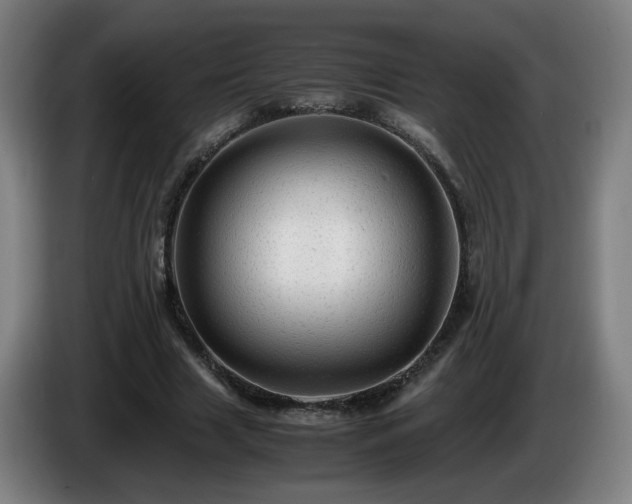 X0000086090633200703301152