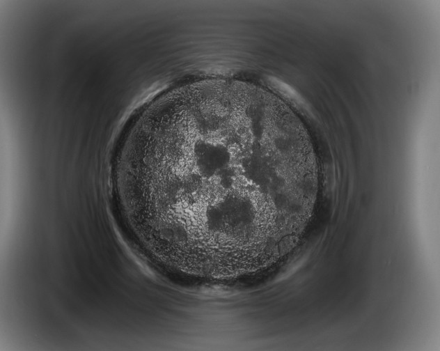 X0000086090634200703301152