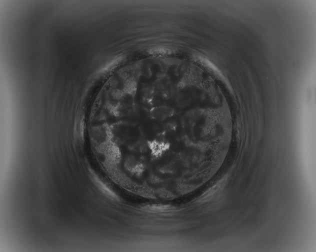 X0000086090637200703301152