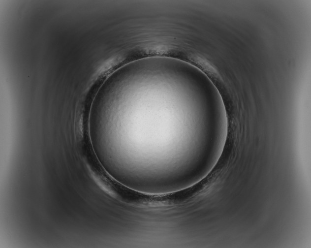 X0000086090638200703301152