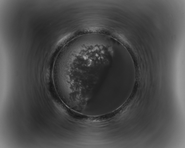 X0000086090640200703301152