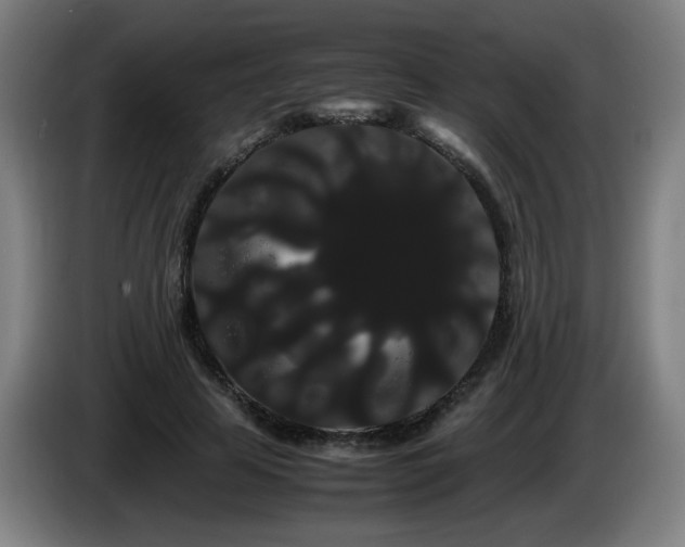 X0000086090641200703301152