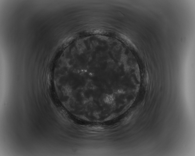 X0000086090643200703301152