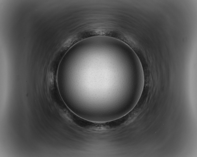 X0000086090646200703301152