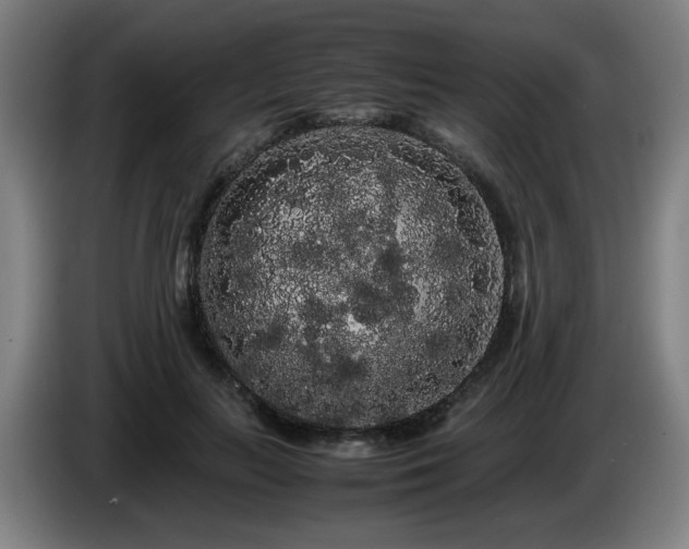 X0000086090647200703301152