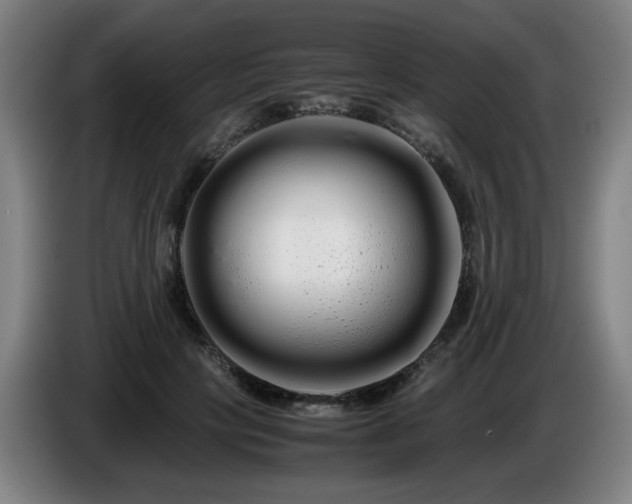 X0000086090649200703301152