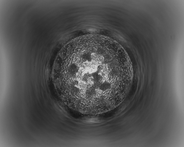 X0000086090651200703301152